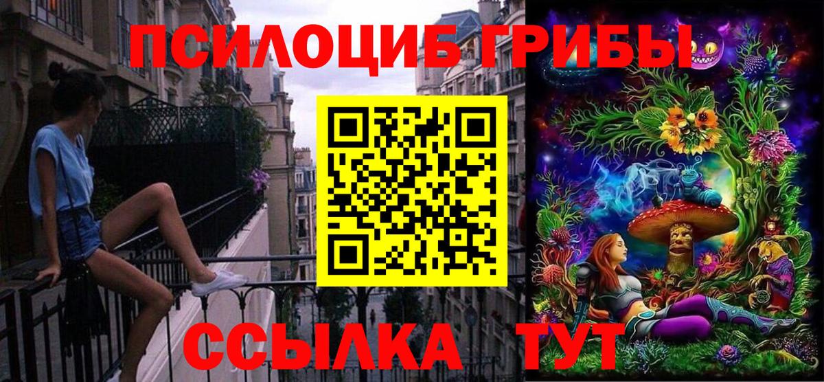 Галлюциногенные грибы мухоморы Кузнецк