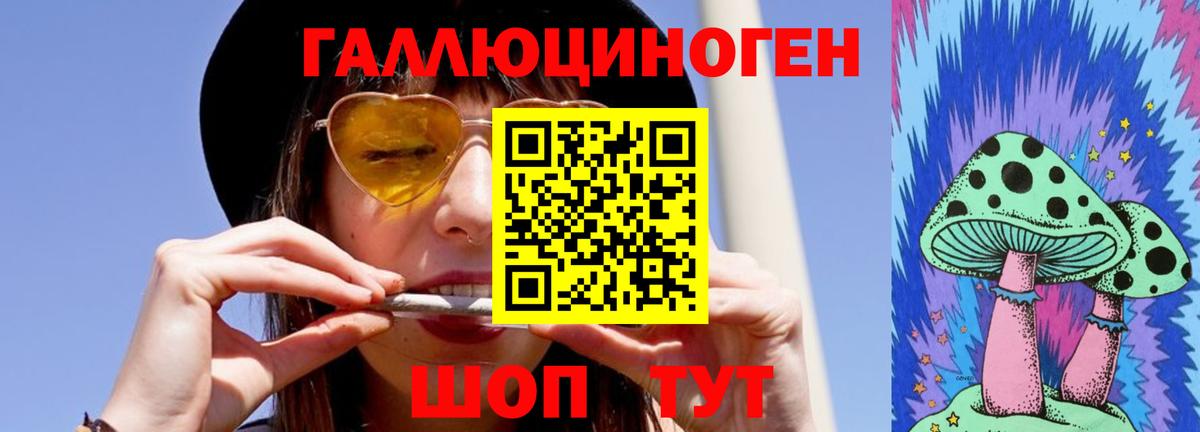 Псилоцибиновые грибы мицелий  Вход с VPN  Кузнецк 